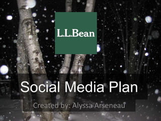 Social Media Plan
Created by: Alyssa Arseneau
 