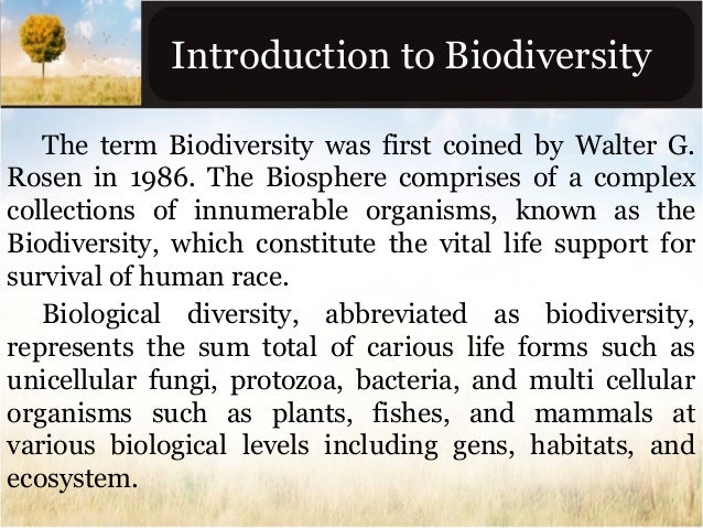 the term biodiversity was first coined by