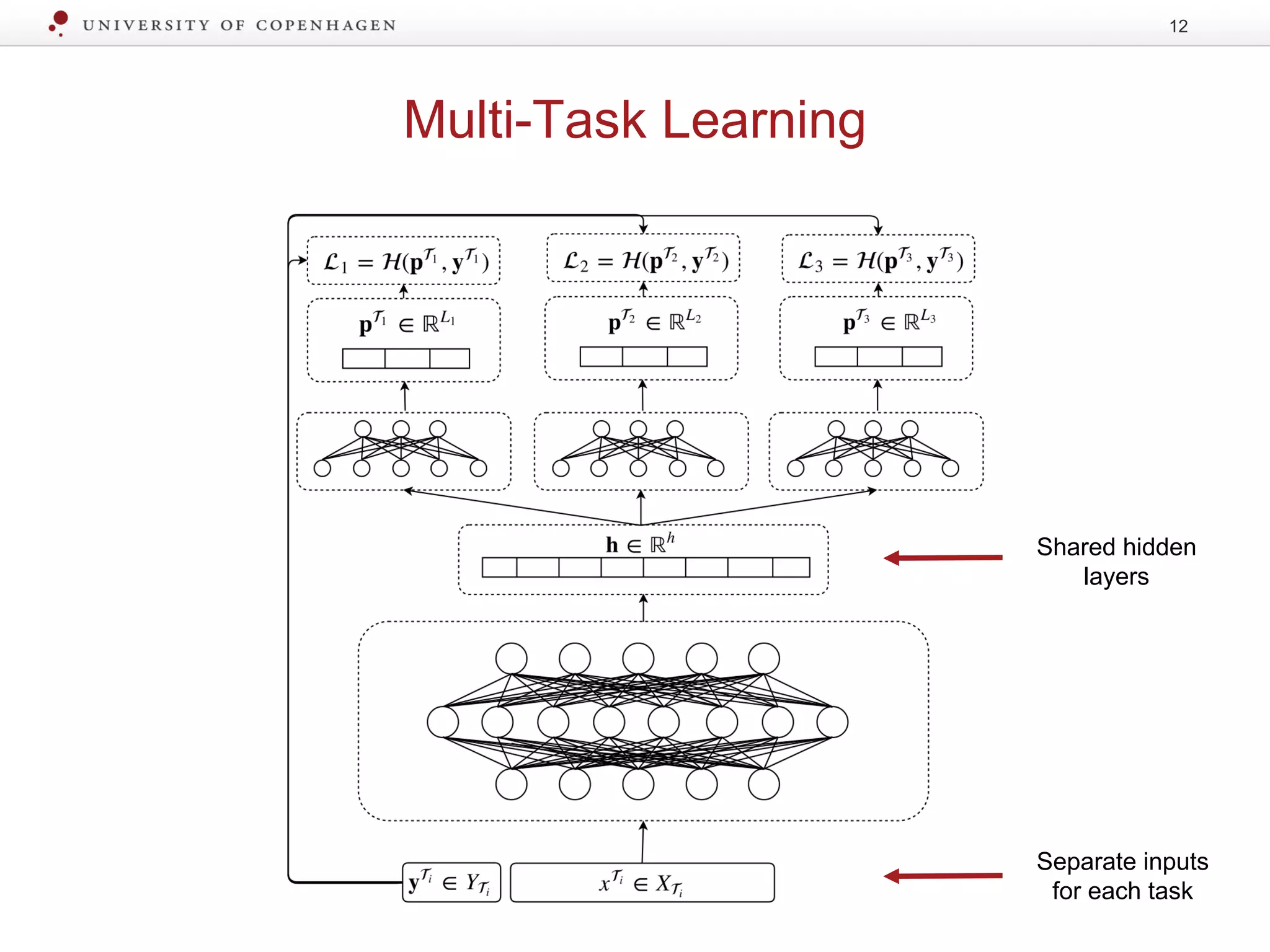 Multi-Task Learning
12
Shared hidden
layers
Separate inputs
for each task
 