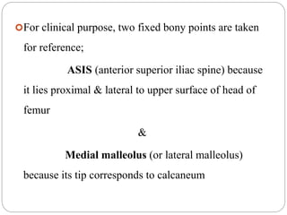 For clinical purpose, two fixed bony points are taken
for reference;
ASIS (anterior superior iliac spine) because
it lies proximal & lateral to upper surface of head of
femur
&
Medial malleolus (or lateral malleolus)
because its tip corresponds to calcaneum
 