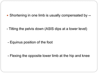  Shortening in one limb is usually compensated by --
- Tilting the pelvis down (ASIS dips at a lower level)
- Equinus position of the foot
- Flexing the opposite lower limb at the hip and knee
 