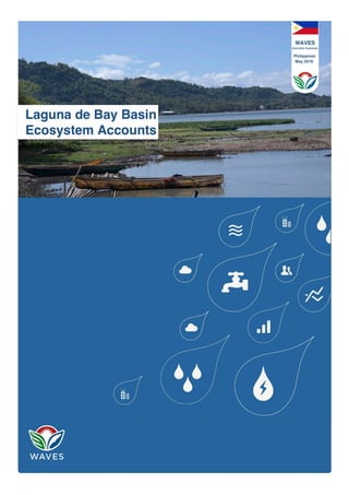Laguna de Bay Basin Ecosystem Accounts