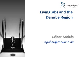 LivingLabs and the
    Danube Region



      Gábor András
  agabor@corvinno.hu
 