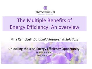 The Multiple Benefits of
Energy Efficiency: An overview
Nina Campbell, Databuild Research & Solutions
Unlocking the Irish Energy Efficiency Opportunity
Dublin, Ireland
10 June 2015
 
