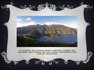 LA LAGUNA DE YAGUAR COCHA HERMOSA LAGUNA DE
IMBABURA QUE REPOSA EN LAS FALDAS VOLCÁNICAS DEL
                VOLCÁN COTACACHI
 