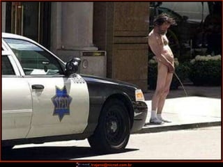 trajano@nicnet.com.br
 