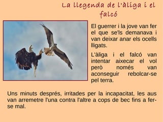 La llegenda de l'àliga i el
falcó
El guerrer i la jove van fer
el que se'ls demanava i
van deixar anar els ocells
lligats.
L'àliga i el falcó van
intentar aixecar el vol
però només van
aconseguir rebolcar-se
pel terra.
Uns minuts després, irritades per la incapacitat, les aus
van arremetre l'una contra l'altre a cops de bec fins a fer-
se mal.
 