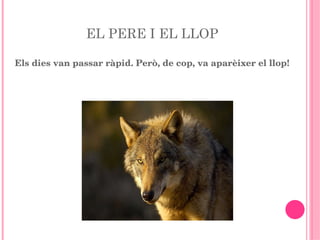 EL PERE I EL LLOP Els dies van passar ràpid. Però, de cop, va aparèixer el llop! 