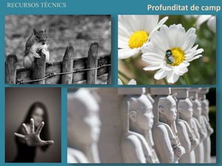 RECURSOS TÈCNICS
Profunditat de camp
 