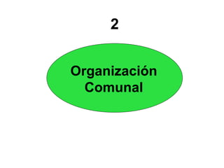 2 
Organización 
Comunal 
 