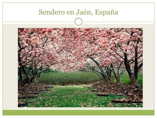 Sendero en Jaén, España
 
