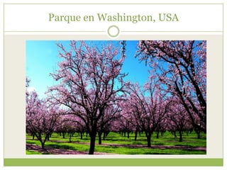 Parque en Washington, USA
 
