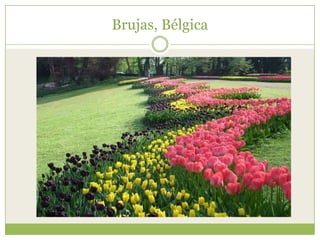 Brujas, Bélgica
 