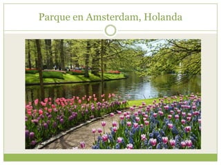 Parque en Amsterdam, Holanda
 