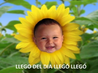 LLEGO DEL DIA LLEGÓ LLEGÓ