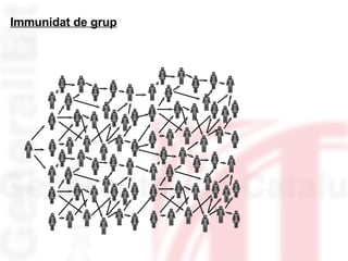 Immunidat de grup 