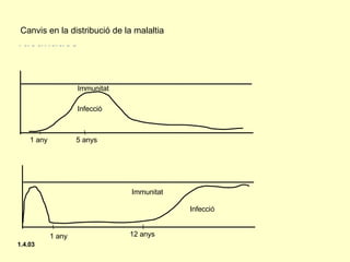 Canvis en la distribució de la malaltia 2-Canvis etaris de la malaltia sobre poblacions  vacunades 1 any 5 anys Infecció Immunitat 1 any 12 anys Infecció Immunitat 1.4.03 