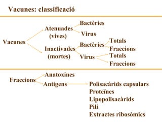 Vacunes: classificació Vacunes Atenuades (vives) Inactivades (mortes) Bactèries Virus Bactèries Virus Totals Fraccions Totals Fraccions Anatoxines Antigens Fraccions Polisacàrids capsulars Proteïnes Lipopolisacàrids Pili Extractes ribosòmics 
