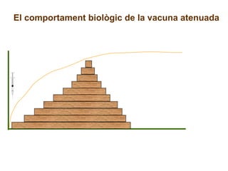 El comportament biològic de la vacuna atenuada 