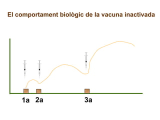 El comportament biològic de la vacuna inactivada 1a 2a 3a 