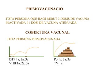 PRIMOVACUNACIÓ TOTA PERSONA QUE HAGI REBUT 3 DOSIS DE VACUNA  INACTIVADA I 1 DOSI DE VACUNA ATENUADA COBERTURA VACUNAL TOTA PERSONA PRIMOVACUNADA DTP 1a, 2a, 3a VHB 1a, 2a, 3a Po 1a, 2a, 3a TV 1a 