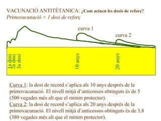 VACUNACIÓ ANTITÈTANICA:  ¿Com actuen les dosis de reforç? Primovacunació + 1 dosi de reforç 1a dosi 2a dosi 3a dosi 10 anys 20 anys curva 1 curva 2 Curva 1 : la dosi de record s’aplica als 10 anys desprès de la  primovacunació. El nivell mitjà d’anticossos obtinguts és de 5  (500 vegades més alt que el mínim protector). Curva 2 : la dosi de record s’aplica als 20 anys desprès de la  primovacunació. El nivell mitjà d’anticossos obtinguts és de 3,8  (380 vegades més alt que el mínim protector). 