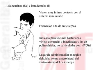 1. Subcutánea (Sc) e intradérmica (I) Indicada para vacunas bacterianas,  víricas atenuadas o inactivadas y las de  polisacáridos, no particuladas con  Al(OH) Vía en muy íntimo contacto con el  sistema inmunitario Formación alta de anticuerpos Lugar de administración en región  deltoidea o cara anterolateral del  vasto externo del cuádriceps 
