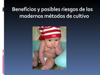 Beneficios y posibles riesgos de los modernos métodos de cultivo 