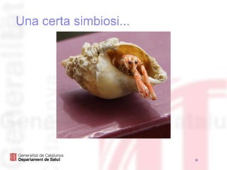 12Una certa simbiosi...