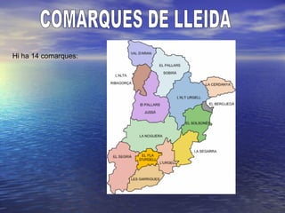 Hi ha 14 comarques:
 