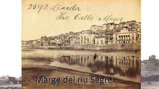 Marge del riu Segre 
 