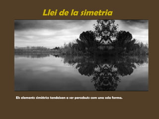 Llei de la simetria




Els elements simètrics tendeixen a ser percebuts com una sola forma.
 