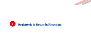 1 Registro de la Ejecución Financiera
 