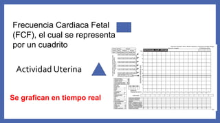 Frecuencia Cardiaca Fetal
(FCF), el cual se representa
por un cuadrito
Actividad Uterina
Se grafican en tiempo real
 