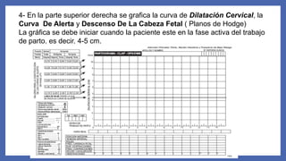 4- En la parte superior derecha se grafica la curva de Dilatación Cervical, la
Curva De Alerta y Descenso De La Cabeza Fetal ( Planos de Hodge)
La gráfica se debe iniciar cuando la paciente este en la fase activa del trabajo
de parto, es decir, 4-5 cm.
 