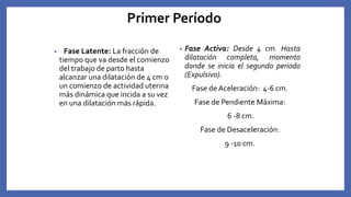 Primer Período
• Fase Latente: La fracción de
tiempo que va desde el comienzo
del trabajo de parto hasta
alcanzar una dilatación de 4 cm o
un comienzo de actividad uterina
más dinámica que incida a su vez
en una dilatación más rápida.
• Fase Activa: Desde 4 cm. Hasta
dilatación completa, momento
donde se inicia el segundo periodo
(Expulsivo).
Fase de Aceleración: 4-6 cm.
Fase de Pendiente Máxima:
6 -8 cm.
Fase de Desaceleración:
9 -10 cm.
 