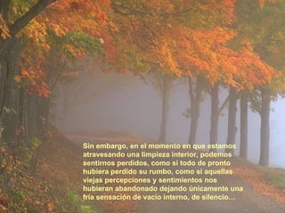 Sin embargo, en el momento en que estamos  atravesando una limpieza interior, podemos sentirnos perdidos, como si todo de pronto hubiera perdido su rumbo, como si aquellas viejas percepciones y sentimientos nos hubieran abandonado dejando únicamente una fría sensación de vacío interno, de silencio… 