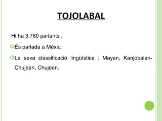 TOJOLABAL Hi ha 3.780 parlants . És parlada a Mèxic. La seva classificació lingüística :  Mayan, Kanjobalan-Chujean, Chujean. 