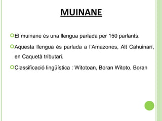 MUINANE El muinane és una llengua parlada per 150 parlants. Aquesta llengua és parlada a l’ Amazones, Alt Cahuinarí, en Caquetà tributari. Classificació lingüística :  Witotoan, Boran Witoto, Boran 