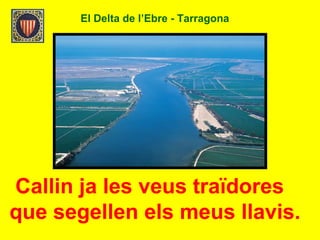 El Delta de l’Ebre - Tarragona
Callin ja les veus traïdores
que segellen els meus llavis.
 