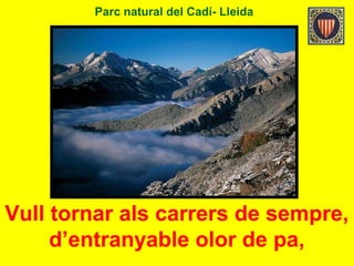 Parc natural del Cadí- Lleida
Vull tornar als carrers de sempre,
d’entranyable olor de pa,
 