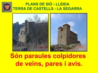 PLANS DE SIÓ - LLEIDA
TERRA DE CASTELLS - LA SEGARRA
Són paraules colpidores
de veïns, pares i avis.
 