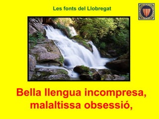 Les fonts del Llobregat
Bella llengua incompresa,
malaltissa obsessió,
 