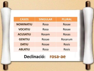 Declinació: rosa-ae
CASOS SINGULAR PLURAL
NOMINATIU Rosa Rosae
VOCATIU Rosa Rosae
ACUSATIU Rosam Rosas
GENITIU Rosae Rosarum
DATIU Rosae Rosis
ABLATIU Rosa Rosis
 