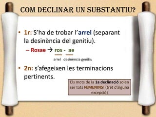 COM DECLINAR UN SUBSTANTIU?
• 1r: S’ha de trobar l’arrel (separant
la desinència del genitiu).
– Rosae  ros - ae
arrel desinència genitiu
• 2n: s’afegeixen les terminacions
pertinents.
Els mots de la 1a declinació solen
ser tots FEMENINS! (tret d’alguna
excepció)
 