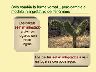 Sólo cambia la forma verbal... pero cambia el
modelo interpretativo del fenómeno


    Los cactus
  se han adaptado
      a vivir en
    lugares con
        poca
        agua.


              Los cactus están adaptados a vivir
              en lugares con poca agua.
 
