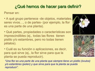 ¿Qué hemos de hacer para definir?
Pensar en:
• A qué grupo pertenece -de objetos, materiales,
seres vivos…, o de partes- (por ejemplo, la flor
es una parte de una planta).
• Qué partes, propiedades o características son
imprescindibles (ej., todas las flores tienen
pistilo y/o estambres, pero no todas tienen
pétalos).
• Cuál es su función o aplicaciones, es decir,
para qué sirve (ej., la flor sirve para que la
planta se pueda reproducir).
“Una flor es una parte de una planta que siempre tiene un pistilo (óvulos)
y/o estambres (polen) y que sirve para que la planta se pueda
reproducir”.
 
