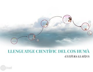 Llenguatje científic del cos humà