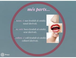 Llenguatje científic del cos humà