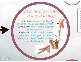 Llenguatje científic del cos humà